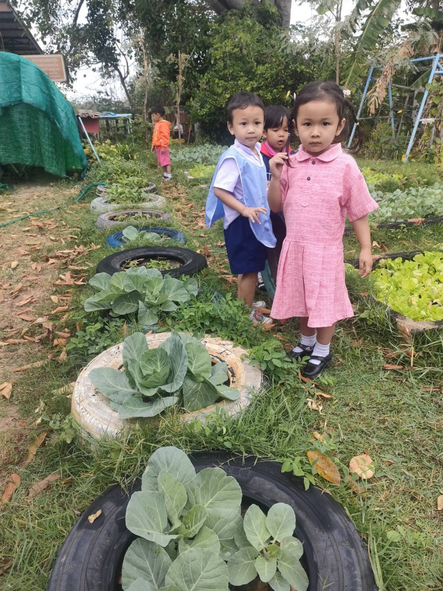 โครงการโรงเรียนพอเพียงท้องถิ่นปลูกผักรักษ์โลก  และ หนูน้อยปลูกผักสวนครัว